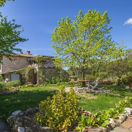Ca'Novae - Tuscany Farmhouse Montieri Bagian luar foto