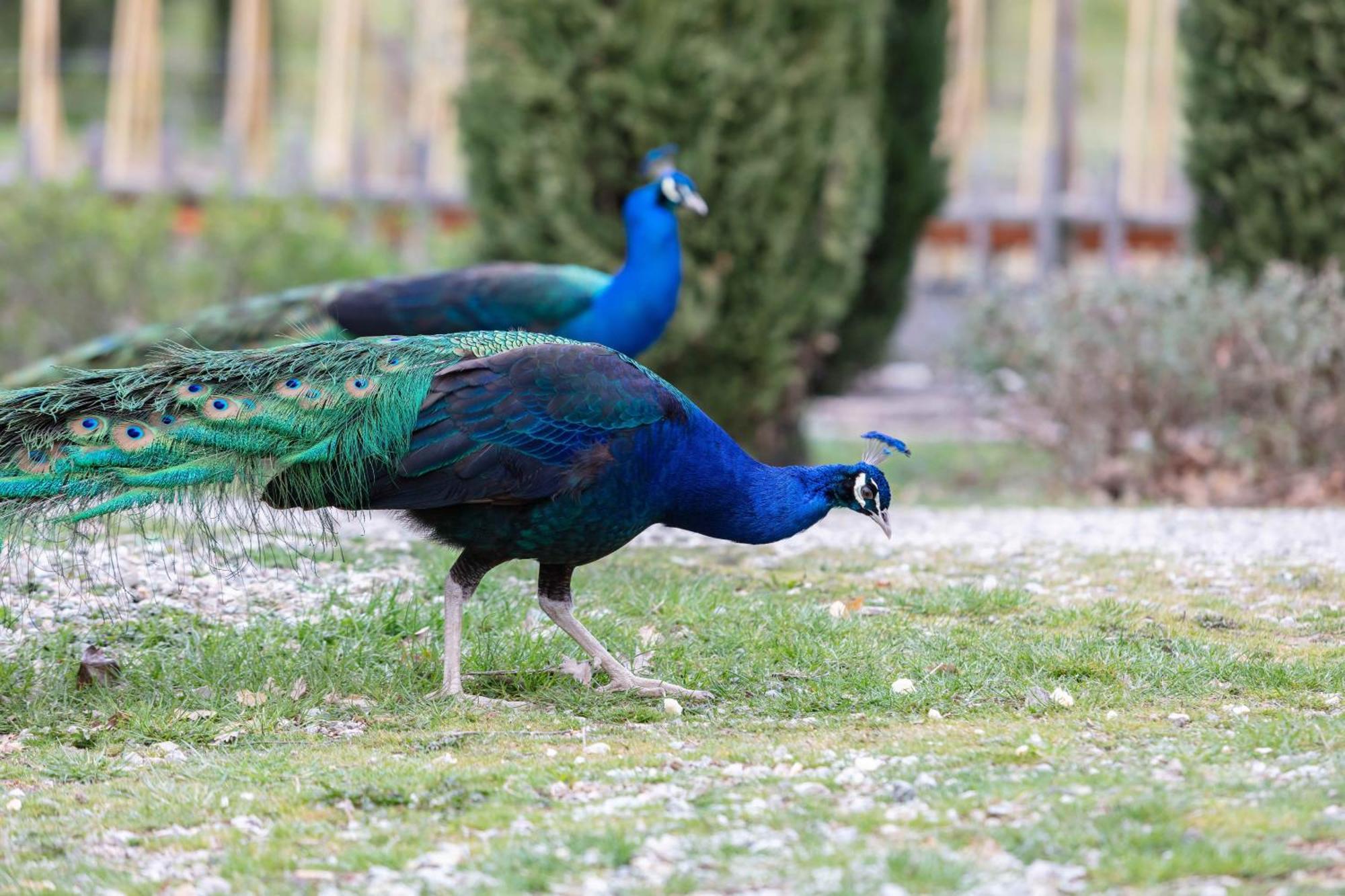 Ca'Novae - Tuscany Farmhouse Montieri Bagian luar foto